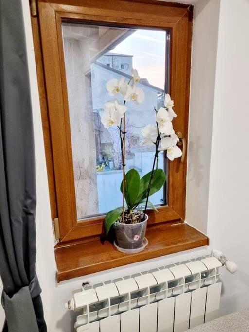 Cozy Apartment Near City Center Bucarest Esterno foto